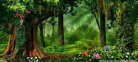 Backdrop Ew 010 Enchanted Forest 1 Forest Backdrops Enchanted Forest