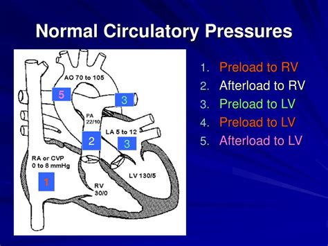 Ppt Hemodynamic Monitoring For The Respiratory Therapist Powerpoint