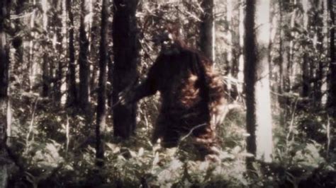 Hulus ‘sasquatch Doc Captures The Fear And Loathing Behind Mendocino