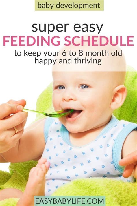 If your child is eating infant cereals, it is important to offer a variety of fortified Useful Feeding Schedule for 6 Month old (to 8 Month Old ...
