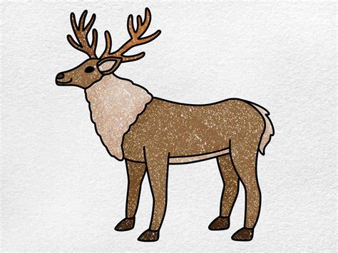 How To Draw A Reindeer Helloartsy