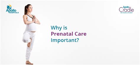 Why Is Prenatal Care Important Apollo Cradle