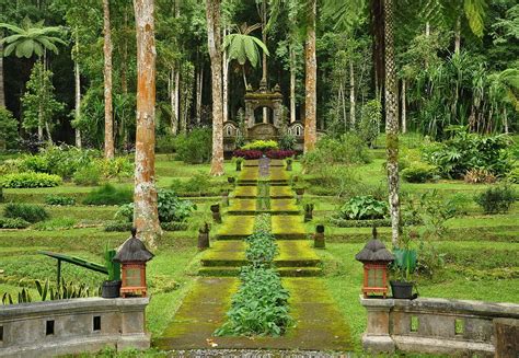 Rasa penasaran saya terobati begitu. Informasi Tentang Kebun Raya Bali yang Harus Kamu Tahu! - RedDoorz Blog