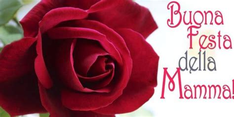 Grazie mamma perché mi hai dato la tenerezza delle tue carezze, il bacio della buona notte, il tuo sorriso premuroso, la dolce tua mano che mi dà sicurezza. Festa della mamma 2020, le frasi per fare gli auguri WhatsApp o sms