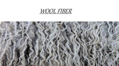 Wool Fiber Presentation