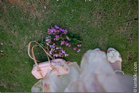 花之语——7月——幸运的紫薇花 | Iamkiki.com