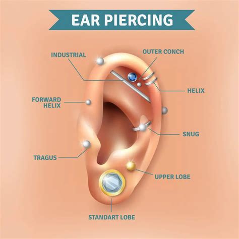 how much does it cost to get your ears pierced pricing and cost data