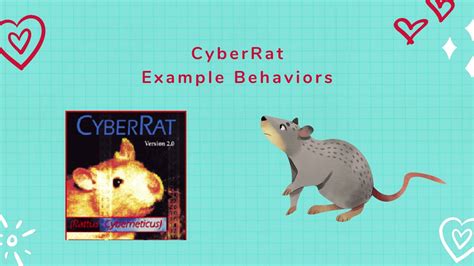 Cyberrat Software Example Behaviors Youtube