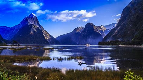 Skrivebordsbakgrunn Natur New Zealand Fiordland National 1920x1080
