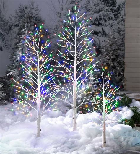 Outdoor Christmas Lights Trees Photos