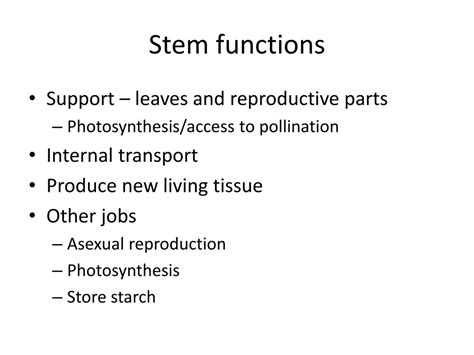 PPT Chapter 33 Stems And Plant Transport Chapter 34 Roots