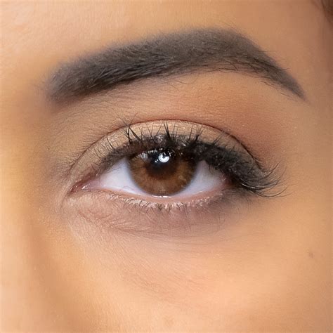 Brown Contact Lenses Trendy Brown Colors