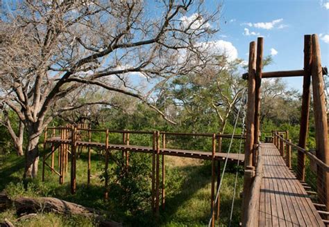 Mapungubwe Treetop Walk In Mapungubwe Limpopo The Exquisite