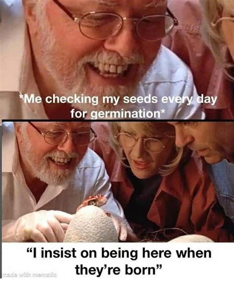 60 Plant Memes For You To Dig Through Gardening Memes Relatable