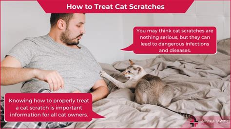 How To Treat Cat Scratches