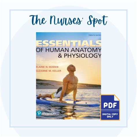 Essentials Of Human Anatomy And Physiology 12th Edition By Elaine