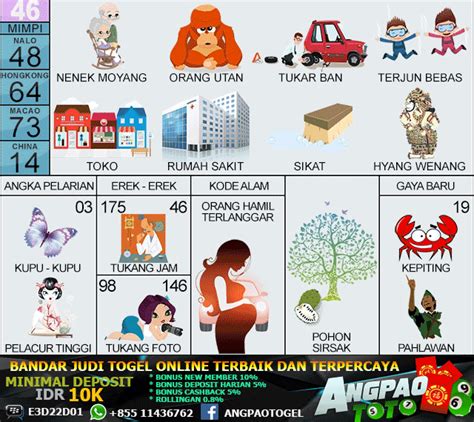 Buaya adalah haiwan yang ganas. Pin di Gambar