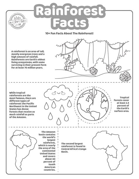 10 Rainforest Facts Printable Worksheets Kids Activities Blog