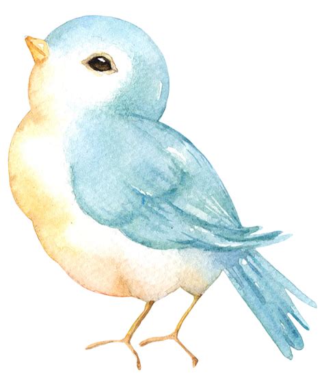 Pin De Michelle Luong Em Watercolor Animais De Aquarela Pássaro De