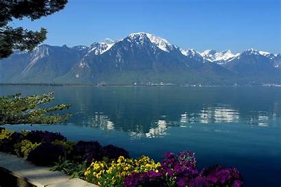 Switzerland Geneva Lake Water Mountain Flower Nature