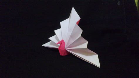 Membuat Origami Burung Merak Segitiga Origami Binatang Youtube My Xxx Hot Girl