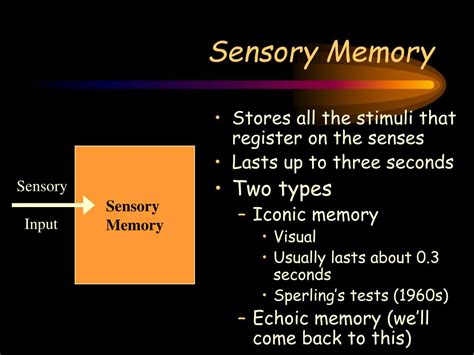 Ppt Human Memory Powerpoint Presentation Free Download Id2370774