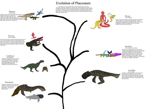 Terjian Beastiary: Evolution of Dragons, and other Placosaurs ...
