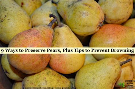 9 Ways To Preserve Pears Plus Tips To Prevent Browning