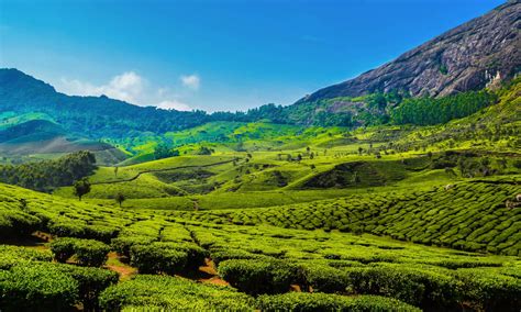 Best Of Kerala Tour Book 7n 8 Days Kerala Holiday Package At Best Price