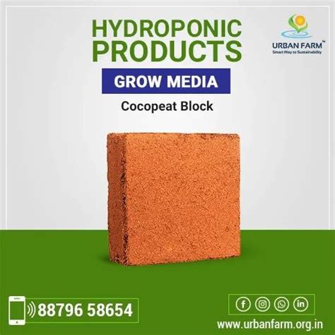 Square Cocopeat Block For Agriculture Packaging Type Box At Rs 30kg In Navi Mumbai