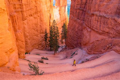 5 Epic National Parks Near Moab Youll Love Expert Guide Photos