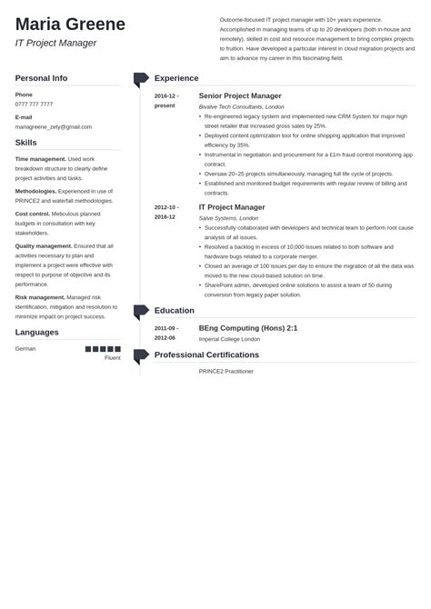 IT Project Manager Resume Examples Sample Guide
