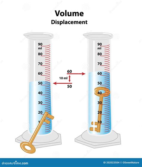 Displacement Method To Measure Volume Stock Vector Illustration Of