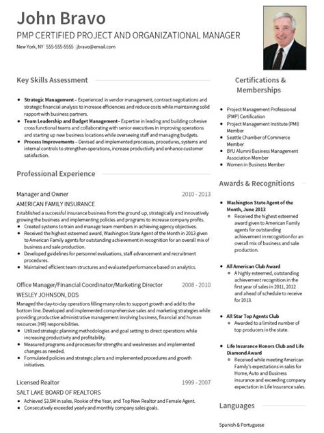 professional cv template cv resume template