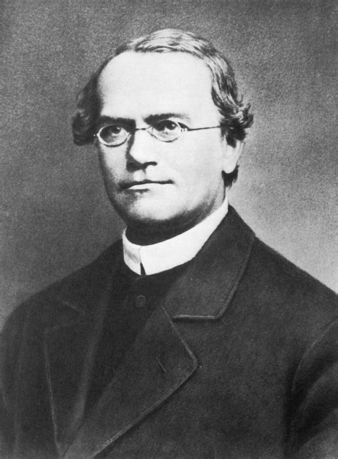 Vater Der Genetik Vor 200 Jahren Wurde Gregor Mendel Geboren Heise