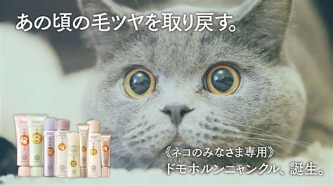 広告掲載 google について google.com in english. 【エイプリルフール】ノリノリに暴れる企業15選【ドモホルン ...