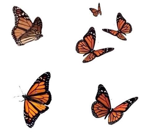 The Butterfly Effect Butterfly Drawing Butterfly Wallpaper Overlays