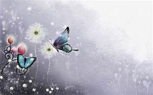 Colorful, Butterfly, Hd, Wallpapers