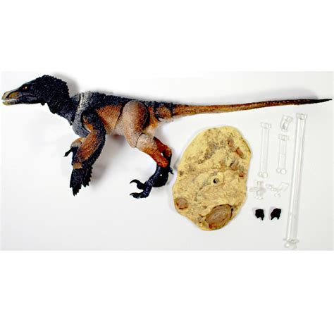 Beasts Of The Mesozoic Raptor Series Velociraptor Mongoliensis Black