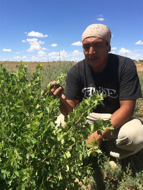 Black Mesa Water Coalition Green Economy Project Piñon Az From