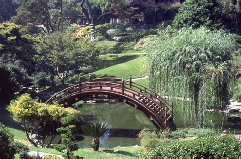 Maybe you would like to learn more about one of these? California's Best Gardens and Colorful Flower Fests to See