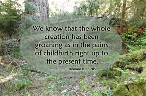 The Whole Creation Is Groaning Romans 819 22 A Clay Jar