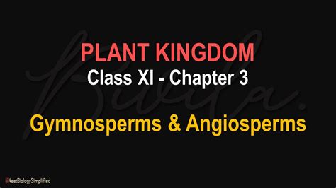 Plant Kingdom Gymnosperms And Angiosperms Class Xi Biology Chapter 3