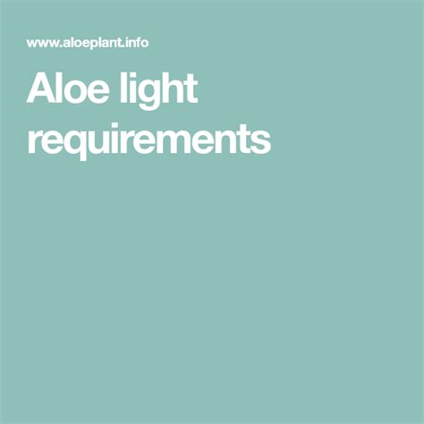 How long would you say it takes for an aloe vera to get used to the sun? Aloe light requirements | Aloe, Light, Plant growth