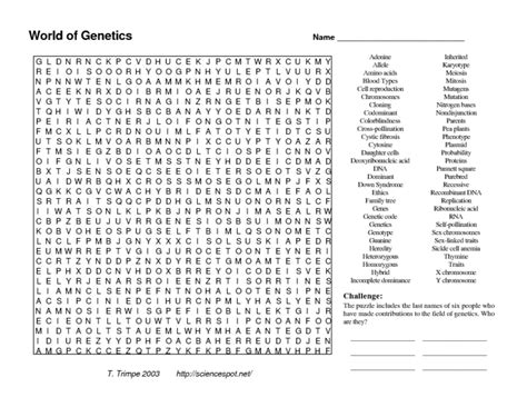 Spongebob genetics answer key each question. World of Genetics Worksheet for 9th - 11th Grade | Lesson ...