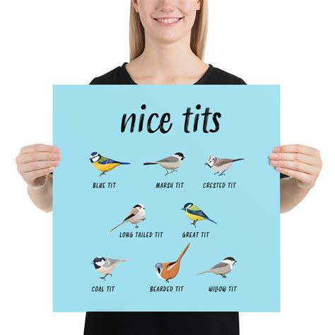 Nice Tits Funny Bird Watching Poster Christmas T For Etsy
