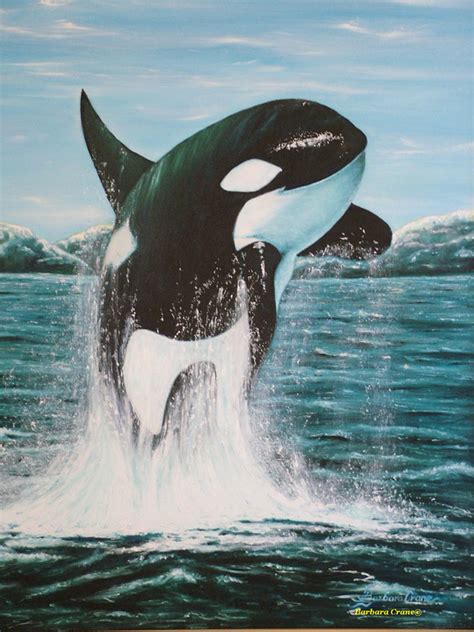 Killer Whales Interesting And Fun Facts Videos Photos And Links