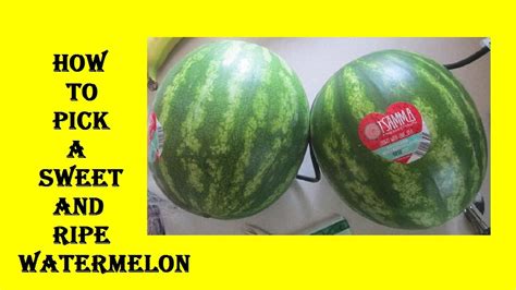 How to pick a perfect watermelon. How To Pick A Sweet And Ripe Watermelon - YouTube