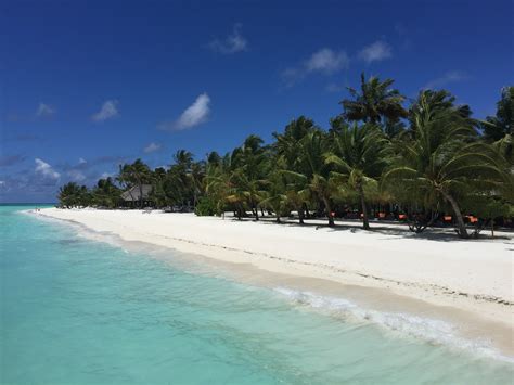 Meeru Island Resort Kaafu Atoll The Maldives Tropical Warehouse By