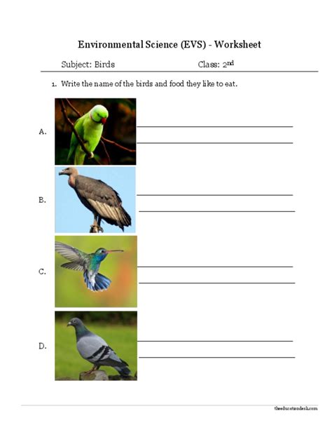 Covering parts of speech and the structure and punctuation of proper sentences in various tenses. Environmental Science (EVS) : Birds Worksheet (Class II)